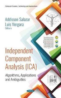 bokomslag Independent Component Analysis (ICA)