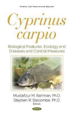 Cyprinus carpio 1