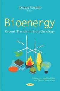 bokomslag Bioenergy