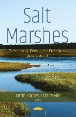 Salt Marshes 1