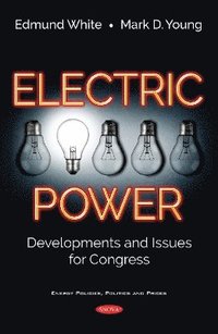 bokomslag Electric Power