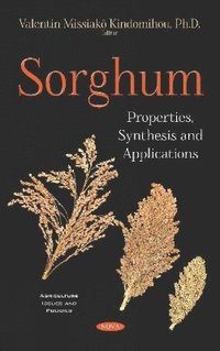 bokomslag Sorghum