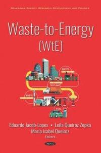 bokomslag Waste-to-Energy (WtE)
