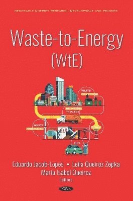 bokomslag Waste-to-Energy (WtE)