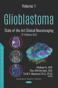 bokomslag Glioblastoma