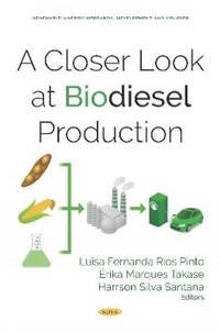 bokomslag A Closer Look at Biodiesel Production