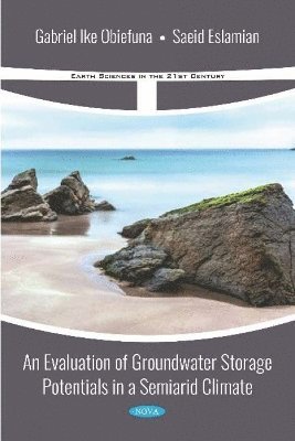 bokomslag An Evaluation of Groundwater Storage Potentials in a Semiarid Climate