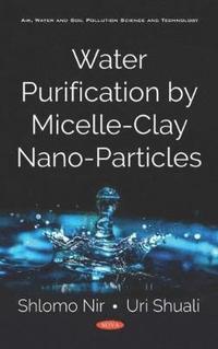 bokomslag Water Purification by Micelle-Clay Nano-Particles