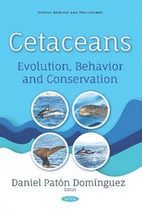 bokomslag Cetaceans