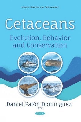bokomslag Cetaceans