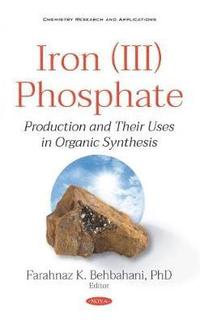 bokomslag Iron (III) Phosphate