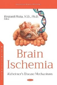 bokomslag Brain Ischemia