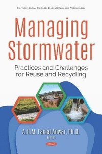 bokomslag Managing Stormwater