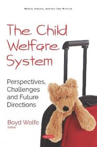 bokomslag The Child Welfare System