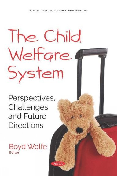 bokomslag Child Welfare System