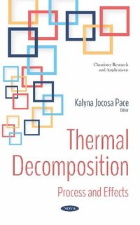 bokomslag Thermal Decomposition