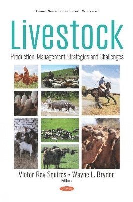 Livestock 1