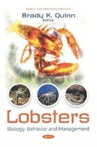 bokomslag Lobsters