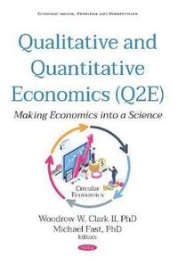 bokomslag Qualitative and Quantitative Economics (Q2E)