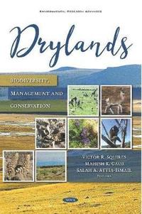 bokomslag Drylands
