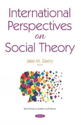 bokomslag International Perspectives on Social Theory