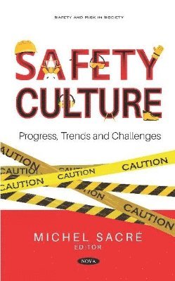 bokomslag Safety Culture