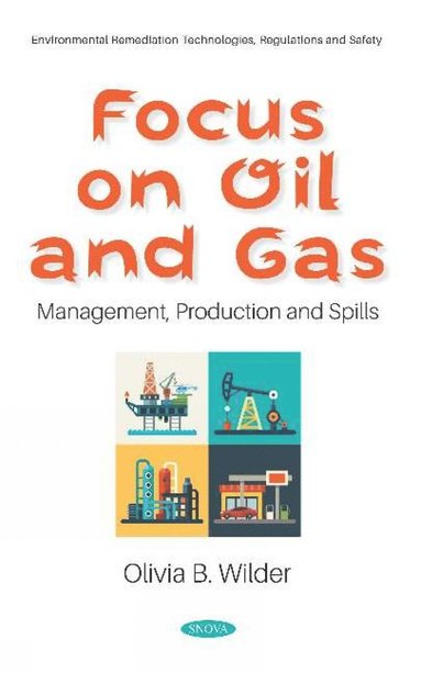 bokomslag Focus on Oil and Gas