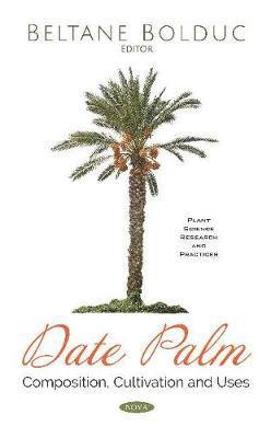 Date Palm 1