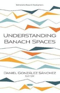bokomslag Understanding Banach Spaces