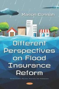 bokomslag Different Perspectives on Flood Insurance Reform