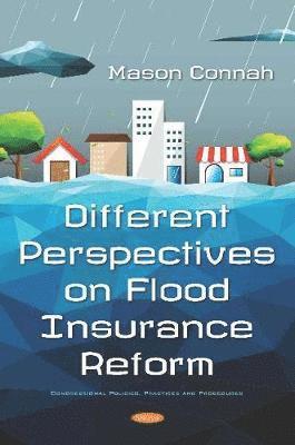 bokomslag Different Perspectives on Flood Insurance Reform