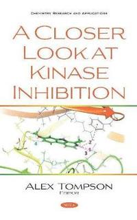 bokomslag A Closer Look at Kinase Inhibition