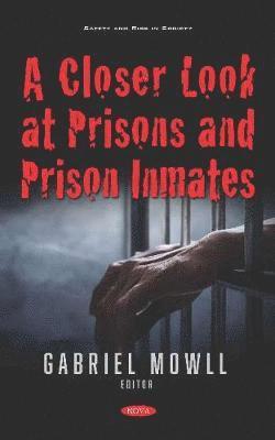 bokomslag A Closer Look at Prisons and Prison Inmates