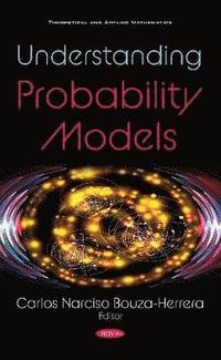 bokomslag Understanding Probability Models