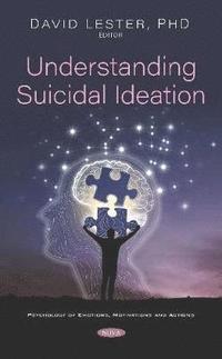 bokomslag Understanding Suicidal Ideation