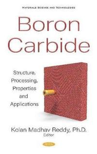 bokomslag Boron Carbide