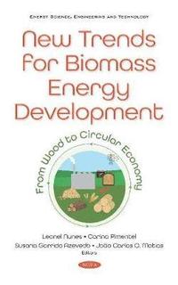 bokomslag New Trends for Biomass Energy Development