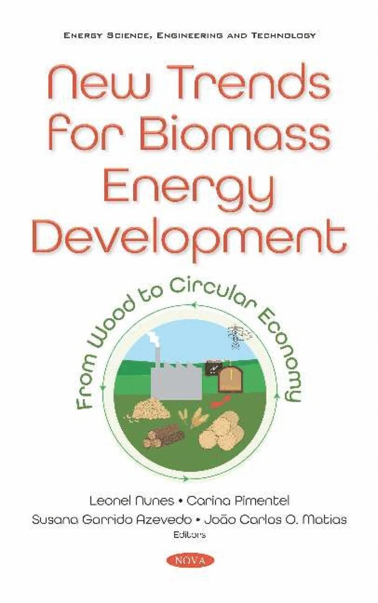 João Carlos O. Matias, Joao Carlos O. Matias - New Trends for Biomass Energy Development, Inbunden