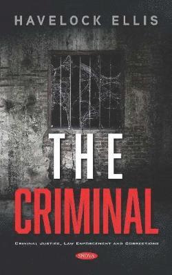 bokomslag Criminal
