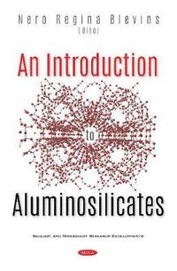 bokomslag An Introduction to Aluminosilicates