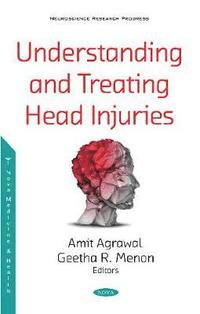bokomslag Understanding and Treating Head Injuries