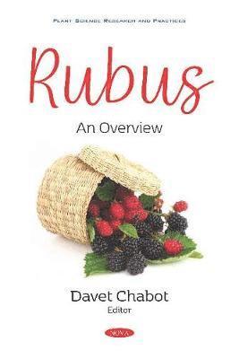 Rubus 1