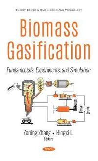 bokomslag Biomass Gasification
