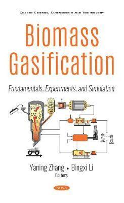 Biomass Gasification 1
