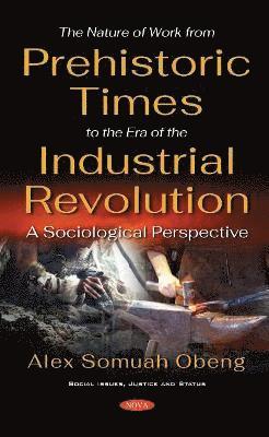 bokomslag Nature of Work from Prehistoric Times to the Era of the Industrial Revolution