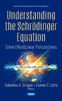 bokomslag Understanding the Schrödinger Equation