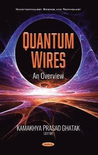 bokomslag Quantum Wires