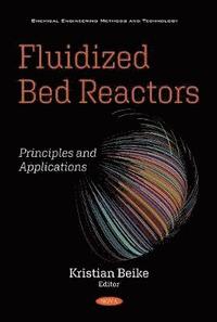 bokomslag Fluidized Bed Reactors