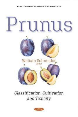 Prunus 1