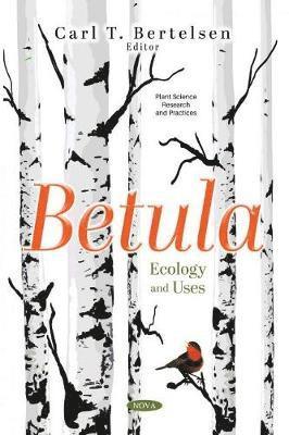 Betula 1